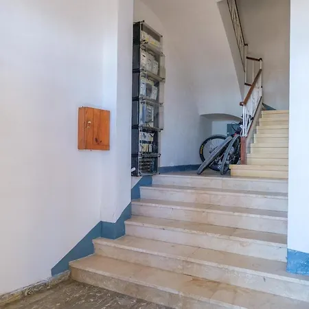 Palmeras 1