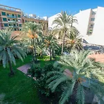 Palmeras 1